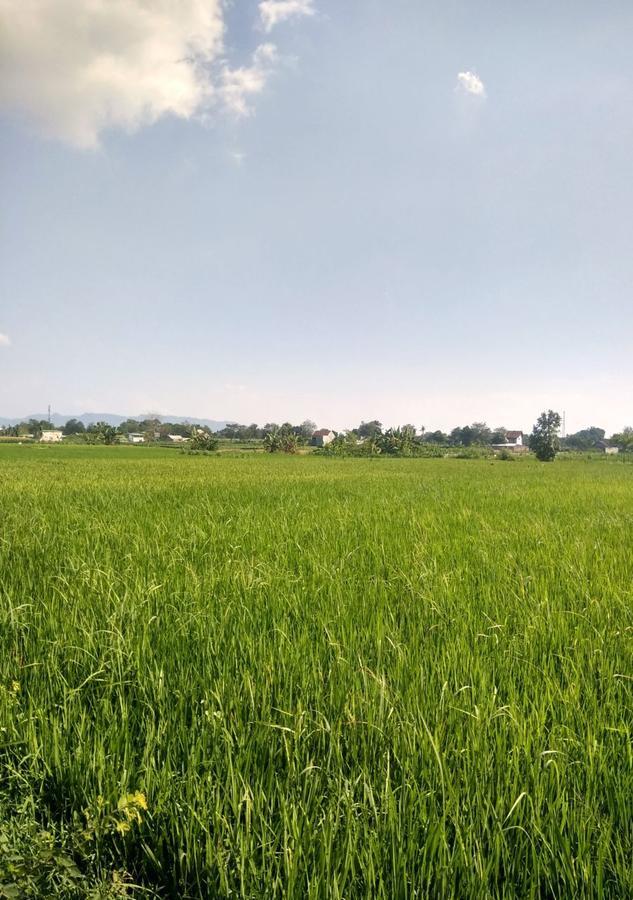 Griya Gendhis Saraswati Boutique Hotel Klaten Dış mekan fotoğraf